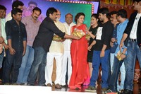 Govindudu Andarivadele Audio Function Photos